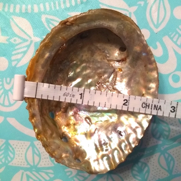 White Sage Bundle, Palo Santo Sticks & Abalone Shell - Picture 3 of 3